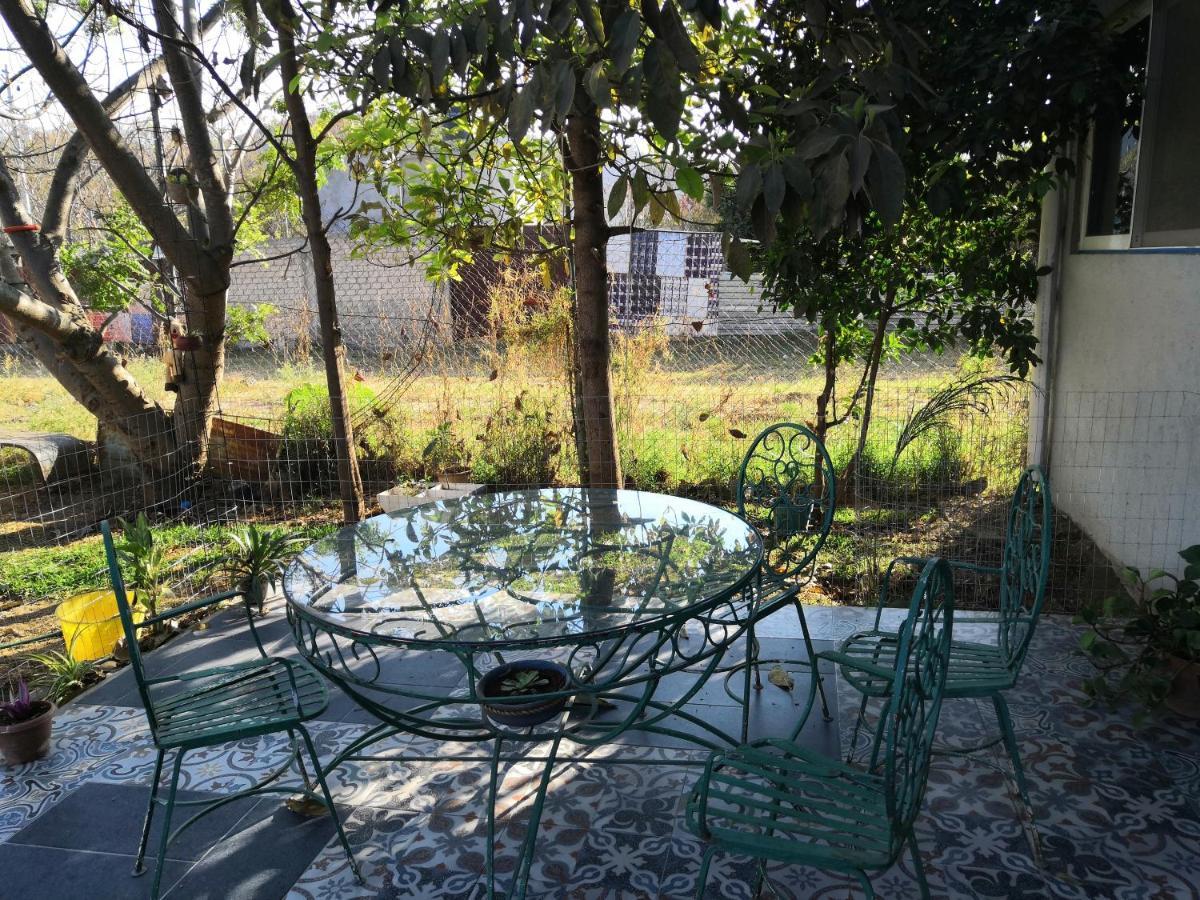 مبيت وإفطار Oaxaca Montealban House المظهر الخارجي الصورة